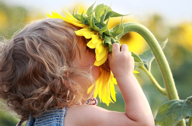 Little girl with a sunflower