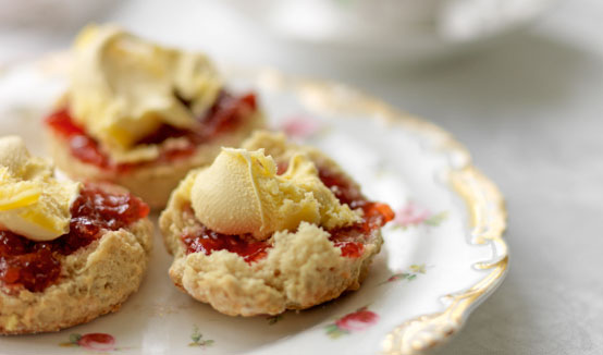Rosemary Shrager recipes