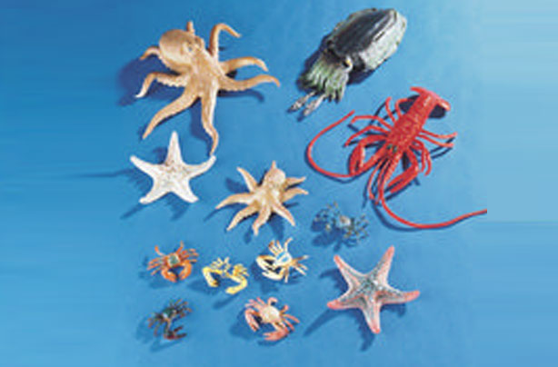 50 outdoor toys for summer: Sealife set