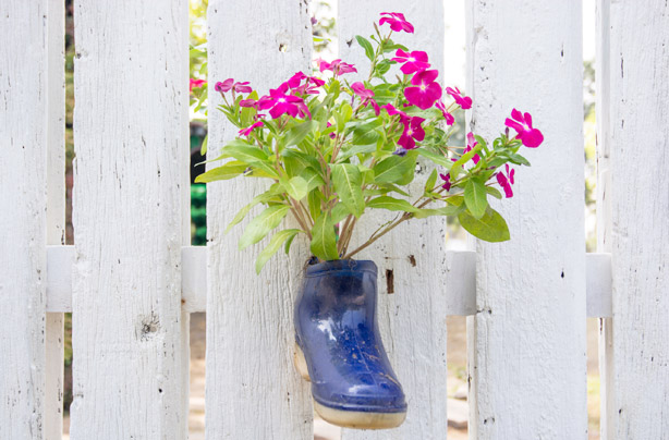 Wellies with flowers growing inside