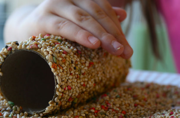 Bird feeder