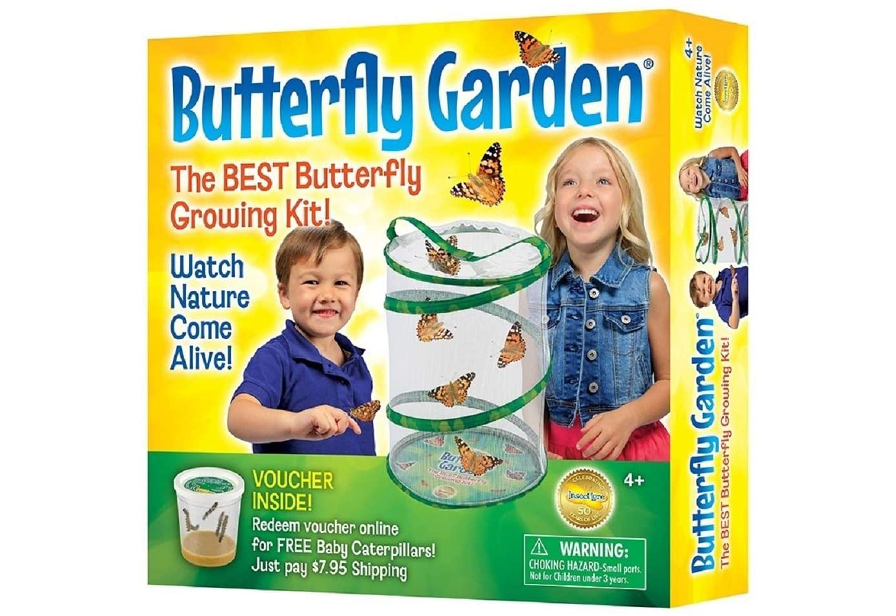 50 outdoor toys: Butterfly garden