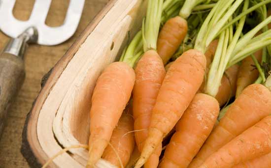 Gardening for kids: Grow your own vegetables