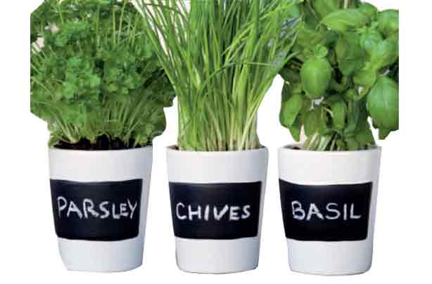 100 ways to make more of your food shop