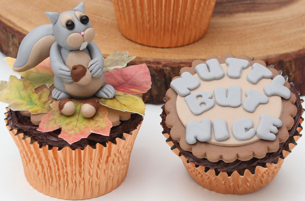 Squirrel cupcakes