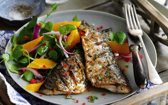 mackerel