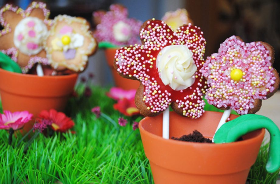 Flower pot biscuits