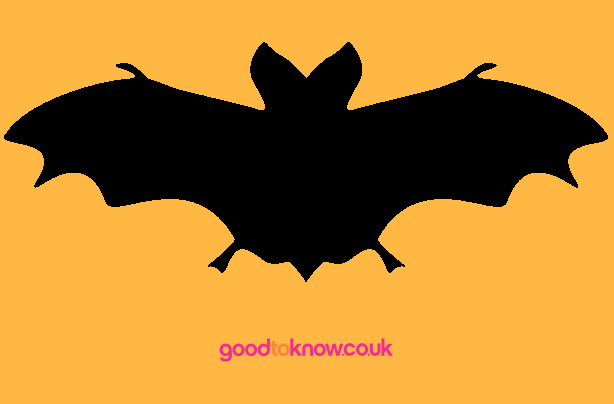 Bat Halloween pumpkin carving template