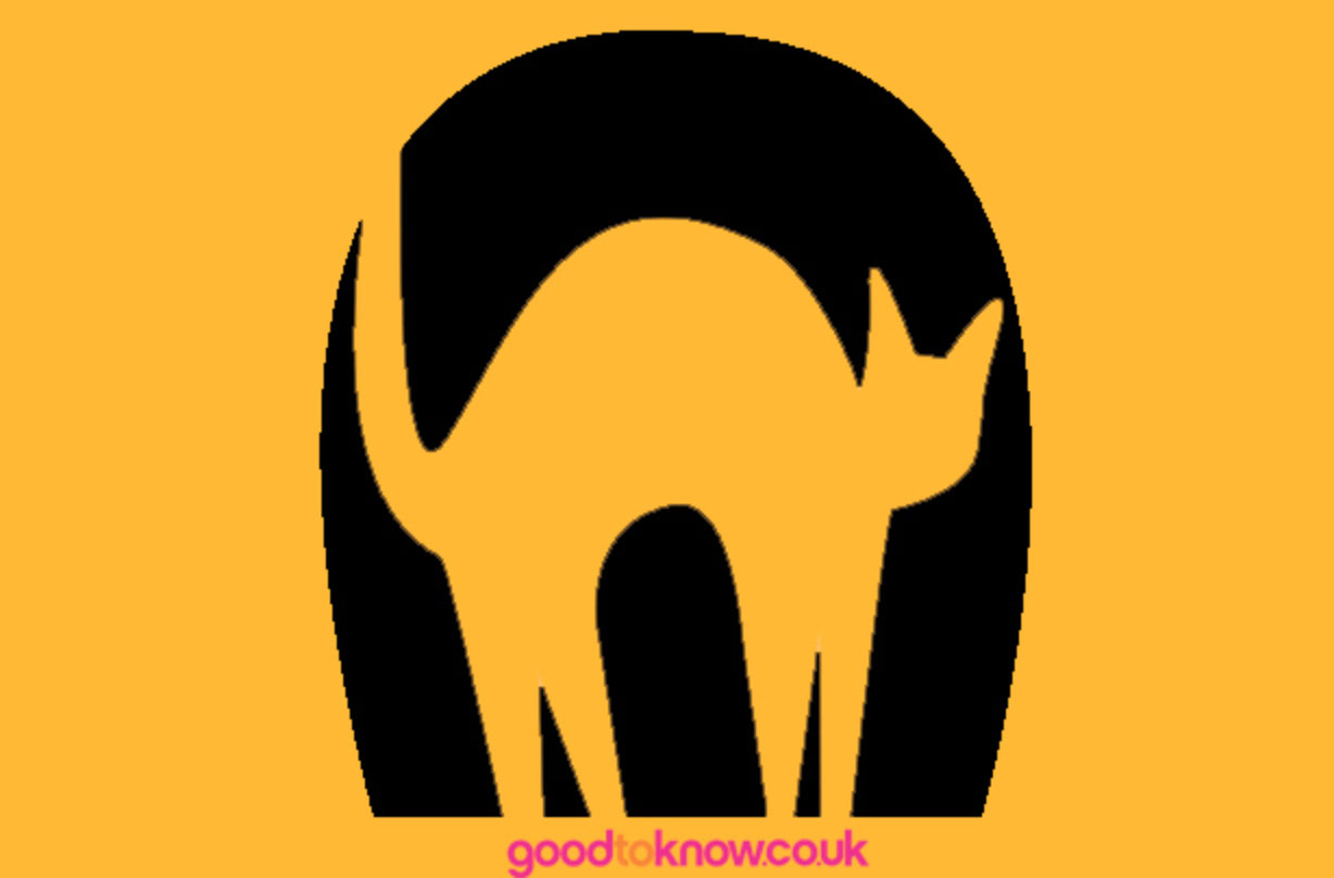 Cat pumpkin carving pattern