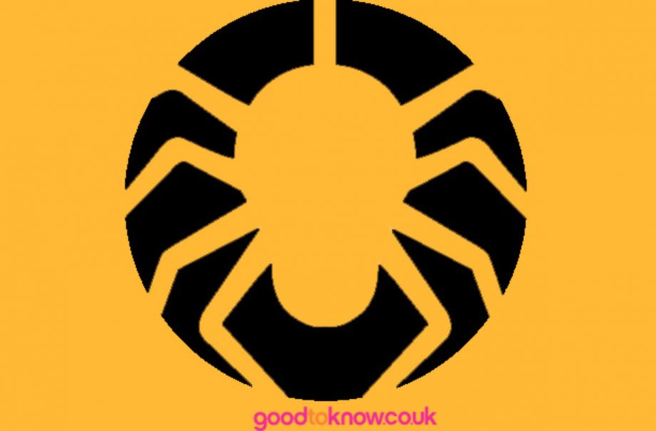 Spider pumpkin carving pattern