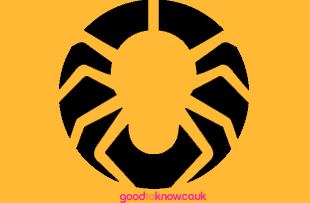 Spider pumpkin carving pattern