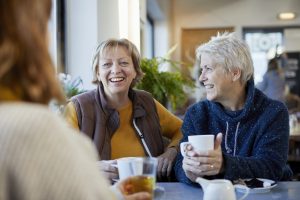 symptoms of menopause
