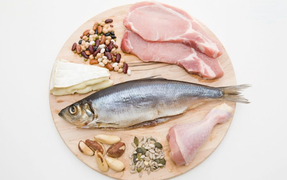 low carb high fat diet
