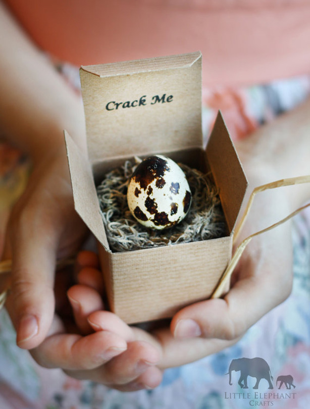 Pregnancy announcements ideas
