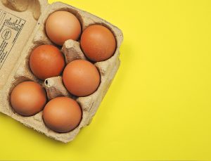 egg science experiment