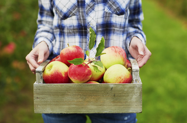 Apples, fruit, how to get rid of cellulite