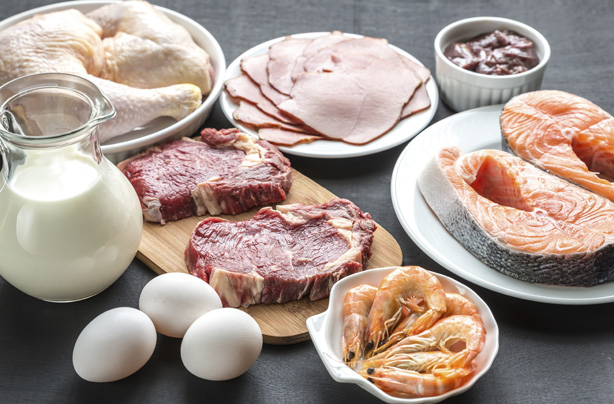 Meat, dairy and eggs, LCHF diet