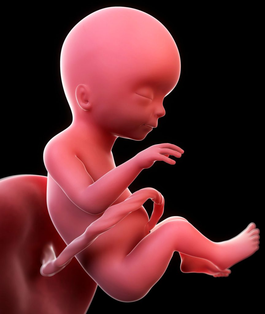 17 weeks pregnant week by week pregnancy guide