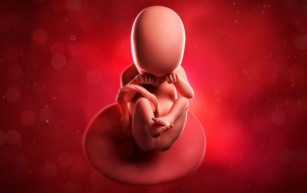 18 weeks pregnant week by week pregnancy