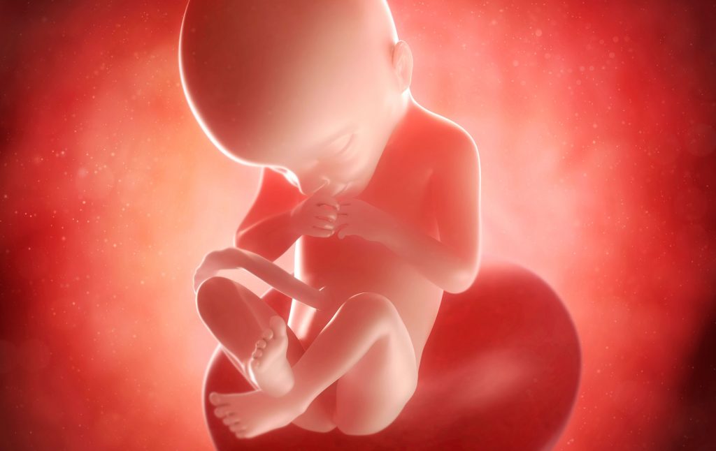 21 weeks pregnant