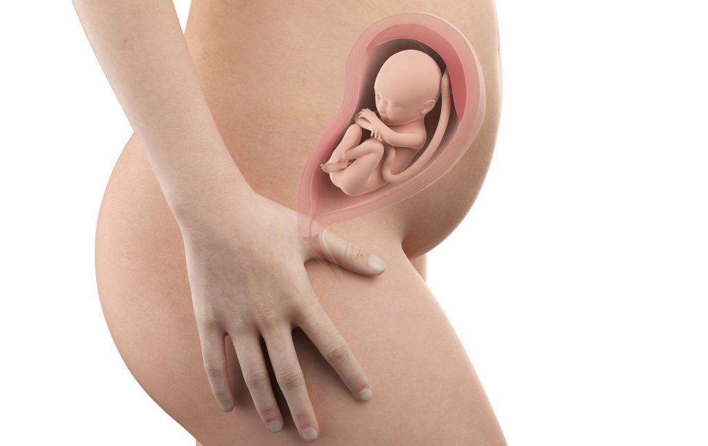 27 weeks pregnant