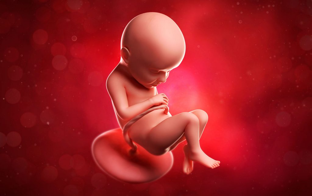 32 weeks pregnant