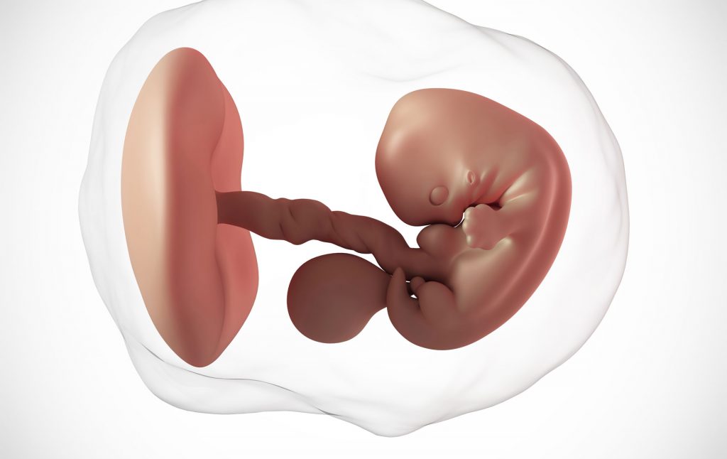7 weeks pregnant: