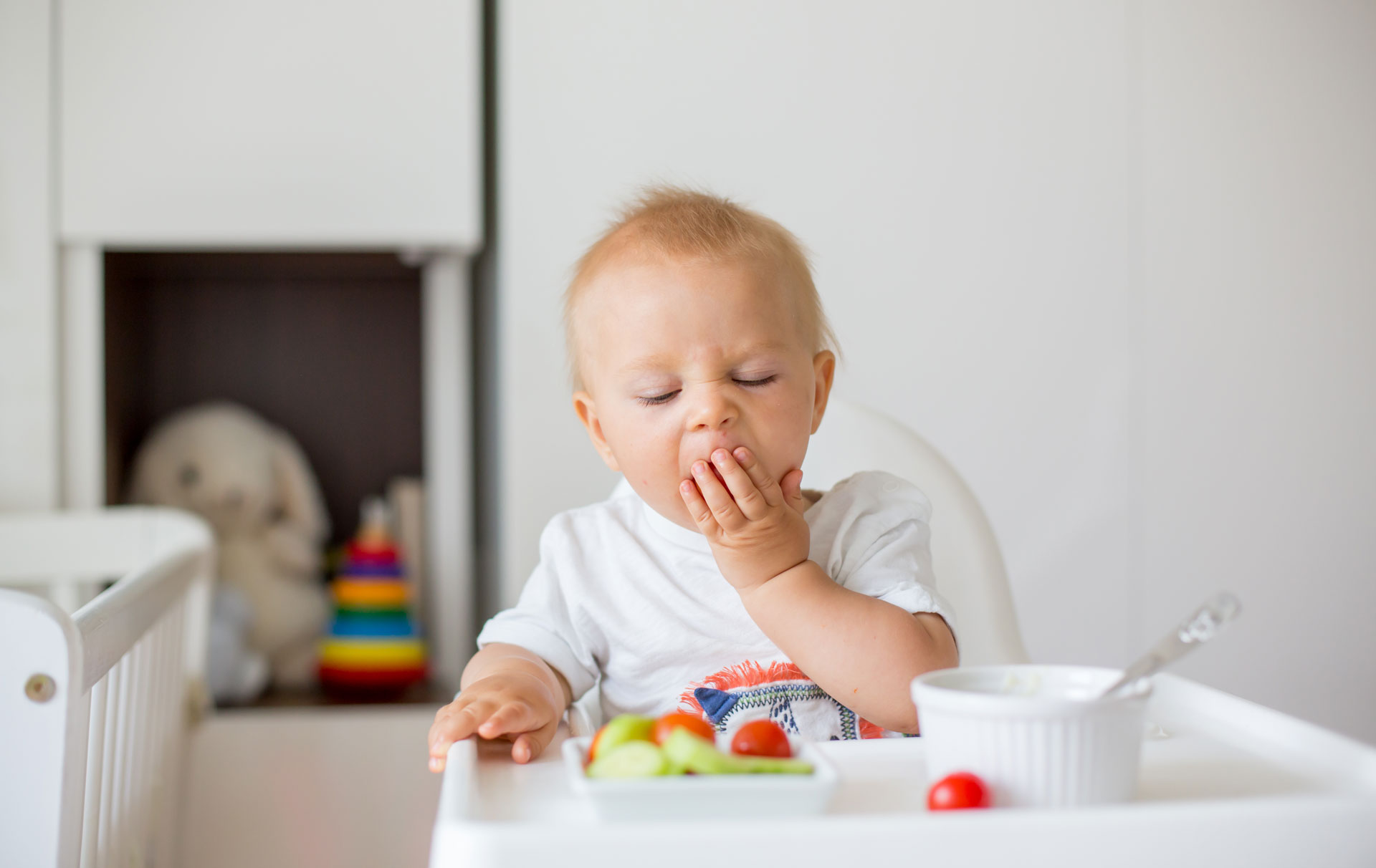 Baby Food Meal Planner 7 9 Months