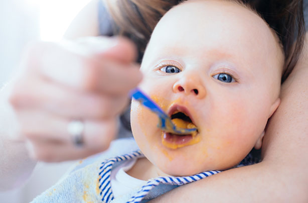 baby food meal planner weaning at 6 7 months