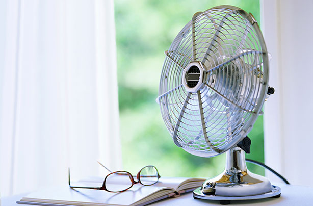 Electric fan