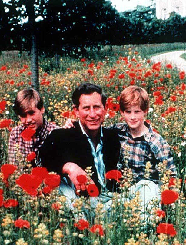 Prince William: 1994