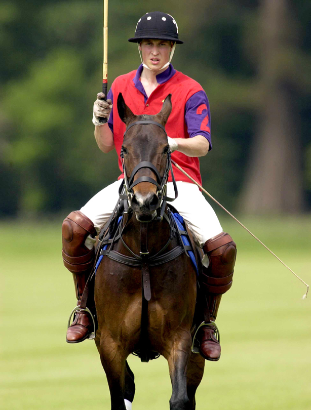 Prince William: 2002