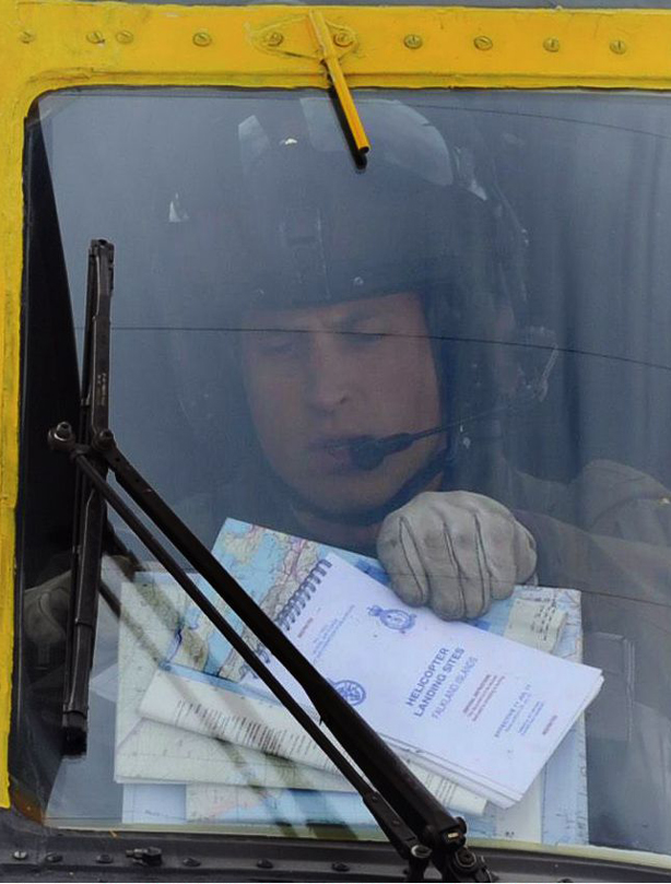 Prince William: 2012