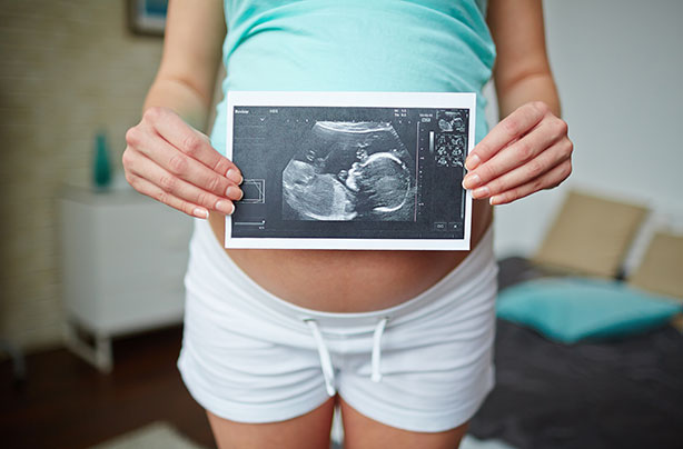 Pregnancy calendar