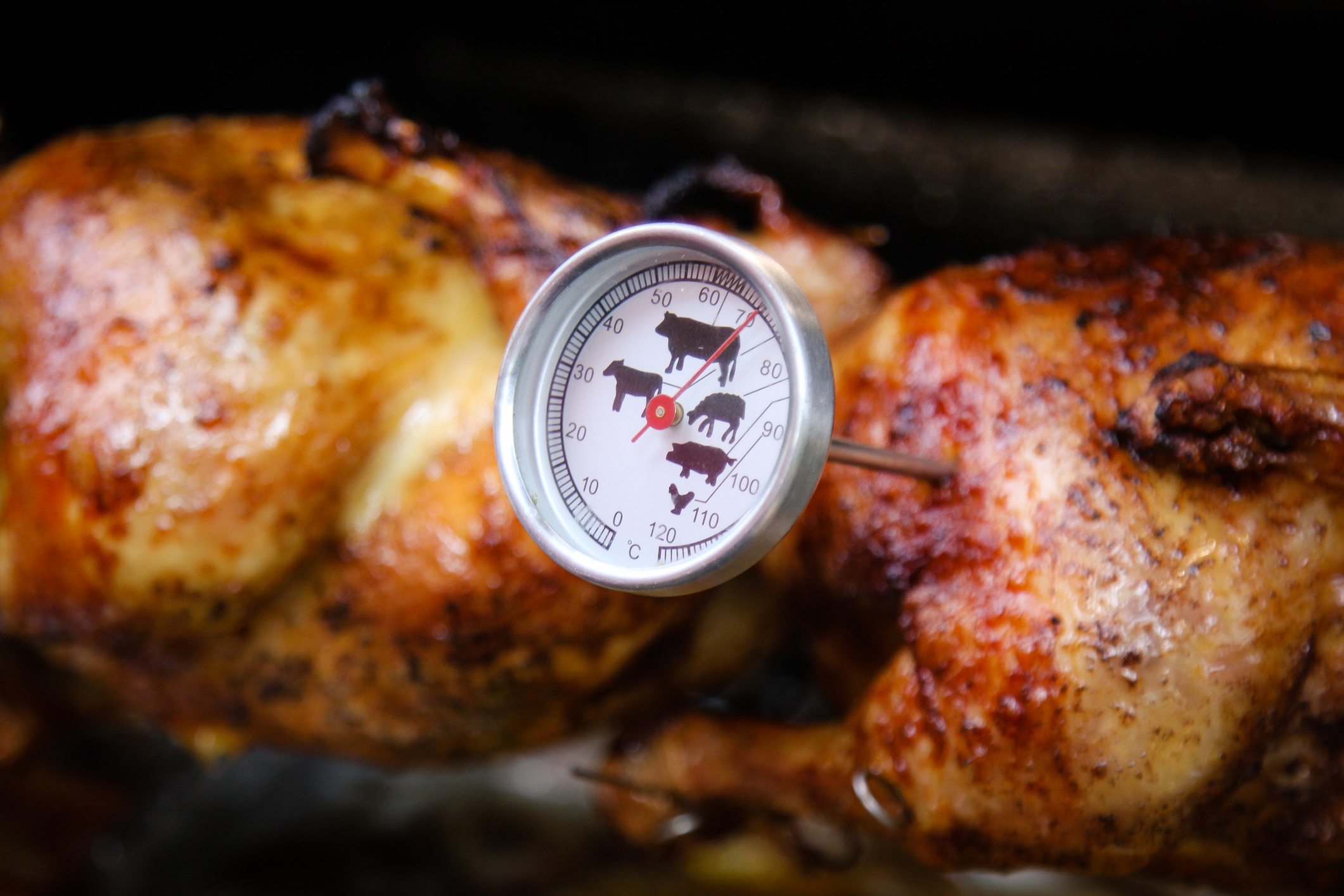 A cooking thermometer showing how to BBQ chicken and other meats