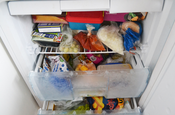 How To Freeze Food