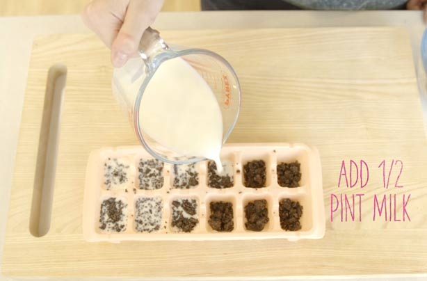 Food hack: How to make milk and cookies ice cubes