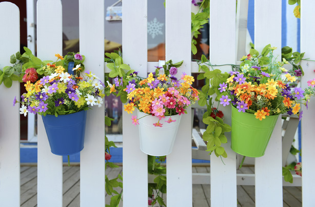 Cheap garden ideas
