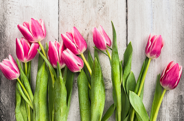 42 jobs to do from home flower arranging