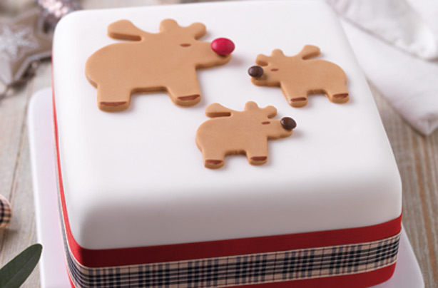 Rudolph Christmas cake