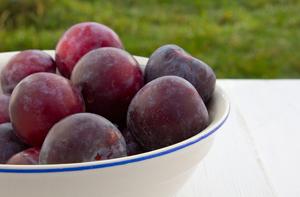 calories in fruit plums