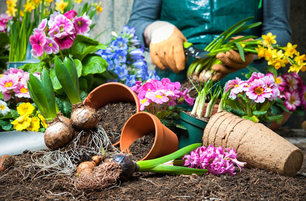 ways to make money growing plants