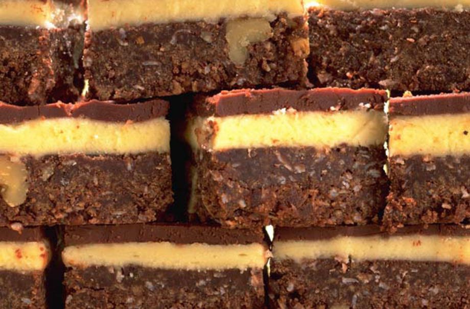 Chocolate coconut squares