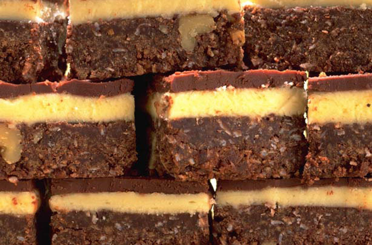 Chocolate coconut squares