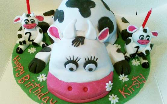 Cow cake
