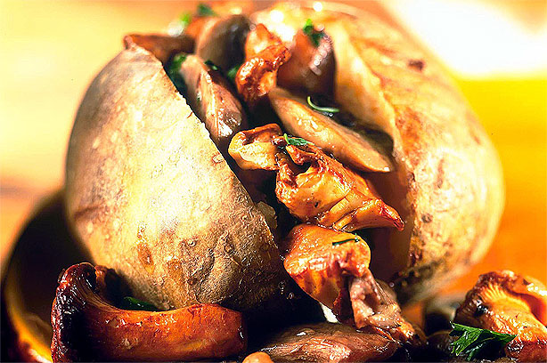 Garlic mushroom jacket