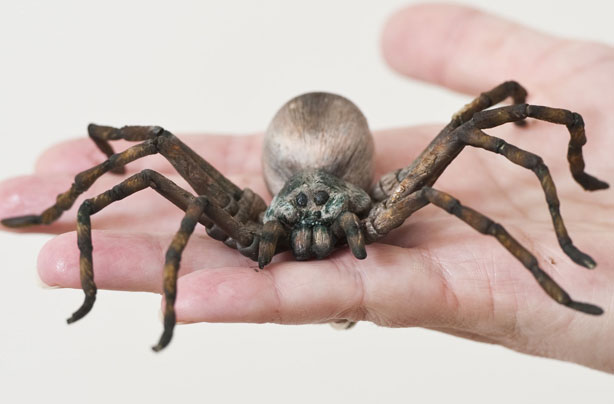 Spider cake decoration