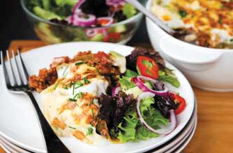 150 meals under 500 calories