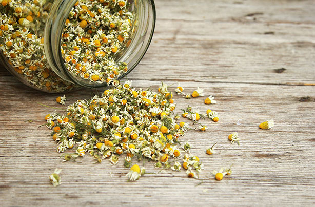 Hay fever remedies
