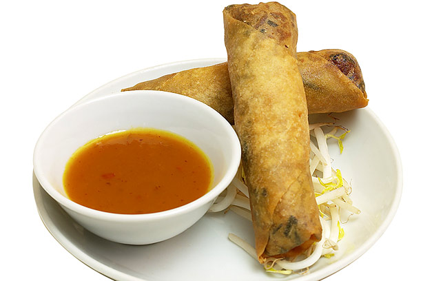 Spring rolls with oriental dip